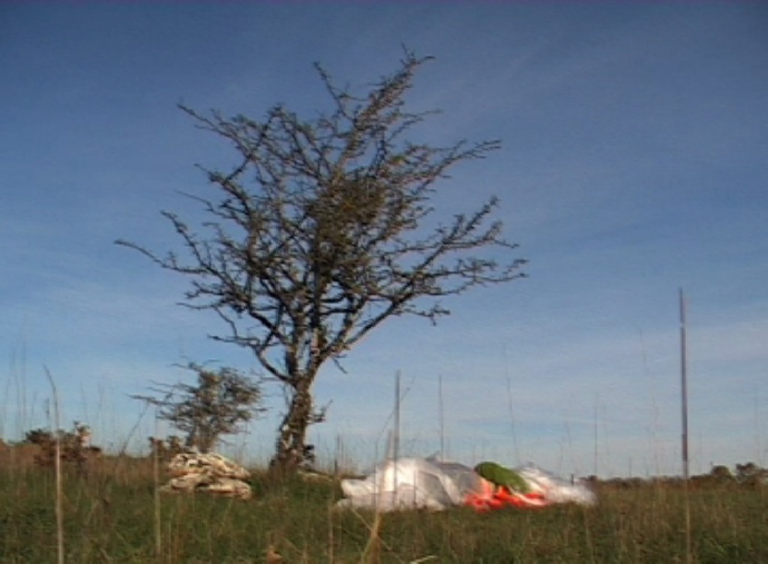 Mushi kiki residency 