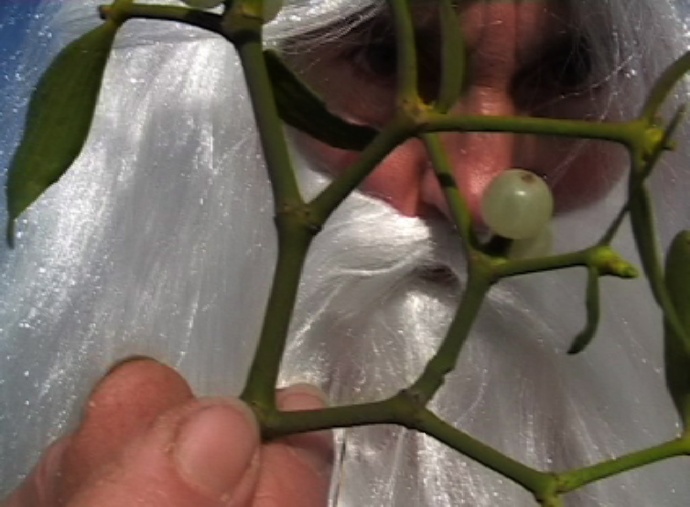 Mushi kiki residency 