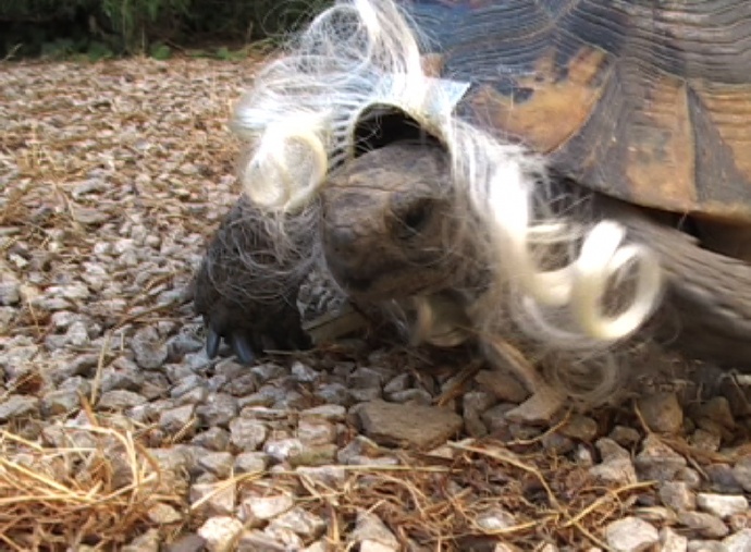 Feuilleton Bande-annonces (Trailers)