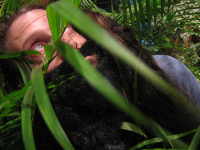 Feuilleton Bande-annonces (Trailers)