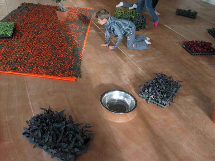 Mushi kiki dispositif