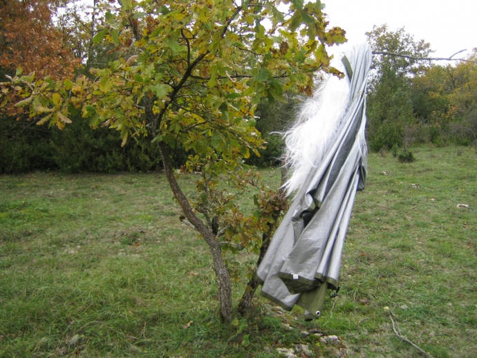 Mushi kiki residency 