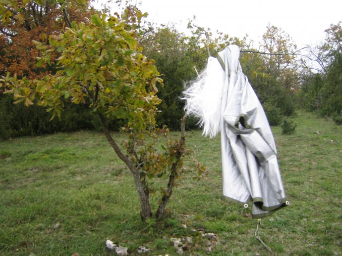 Mushi kiki residency 