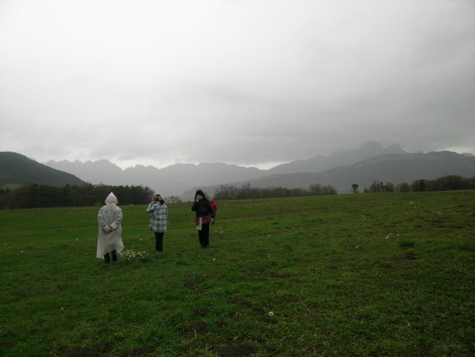 Circles of Moving...