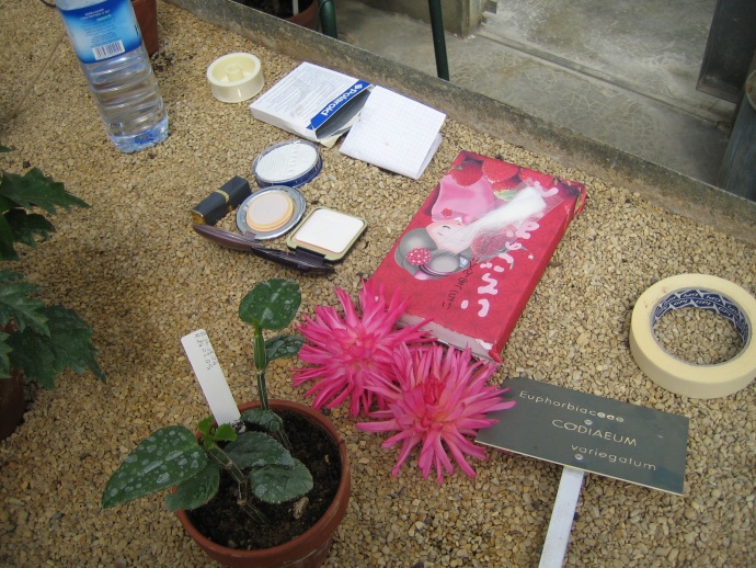 Projet Serres, Frédéric Lormeau