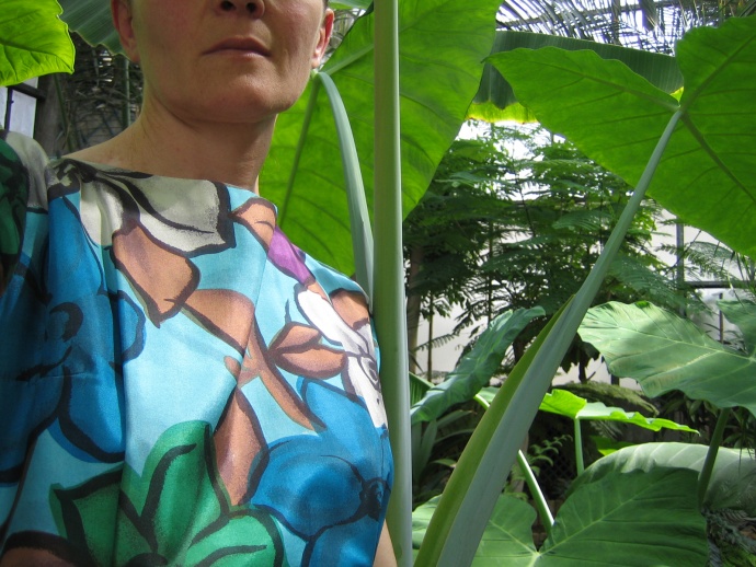 Projet Serres, Frédéric Lormeau