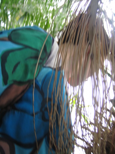 Projet Serres, Frédéric Lormeau