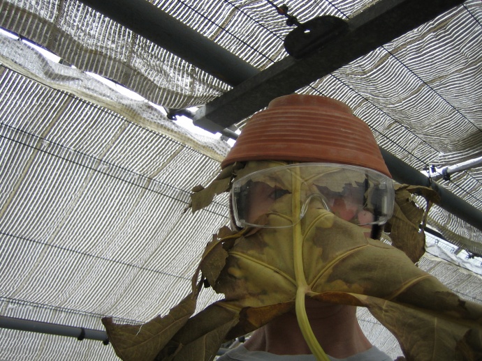 Projet Serres, Frédéric Lormeau