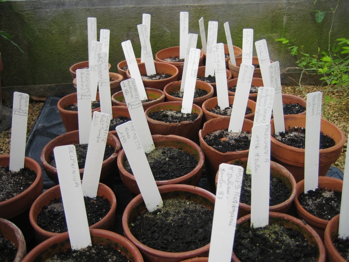 Projet Serres, Frédéric Lormeau