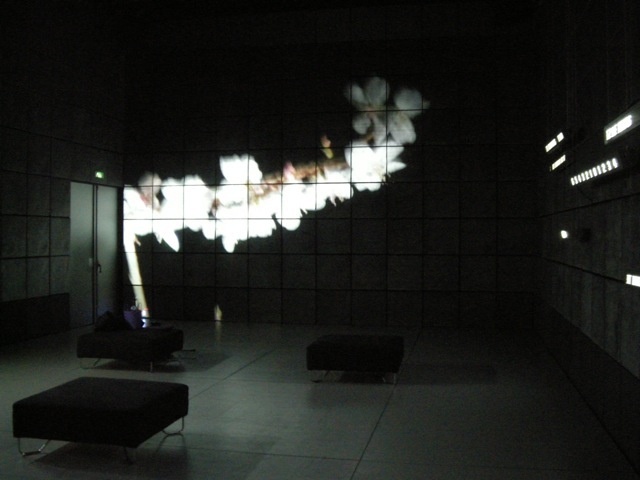 Pièces d'hypnose à la Gaîté Lyrique / 2012