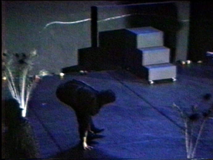 Ellipse 1/Le singe est mort