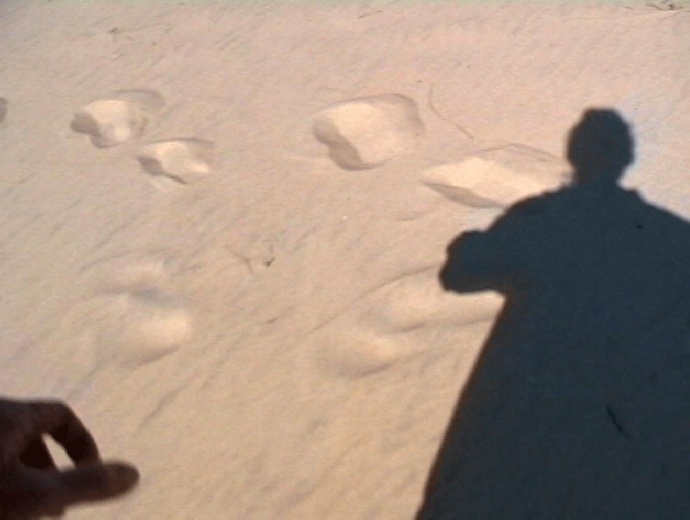 Une Plage / Centre de Relations Clients de Canal+ Rennes  