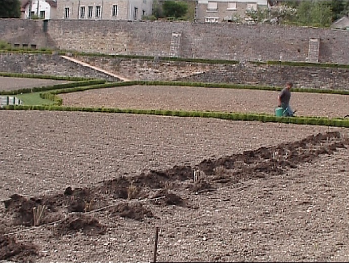 au jardin de Barbirey au jardin de Barbirey