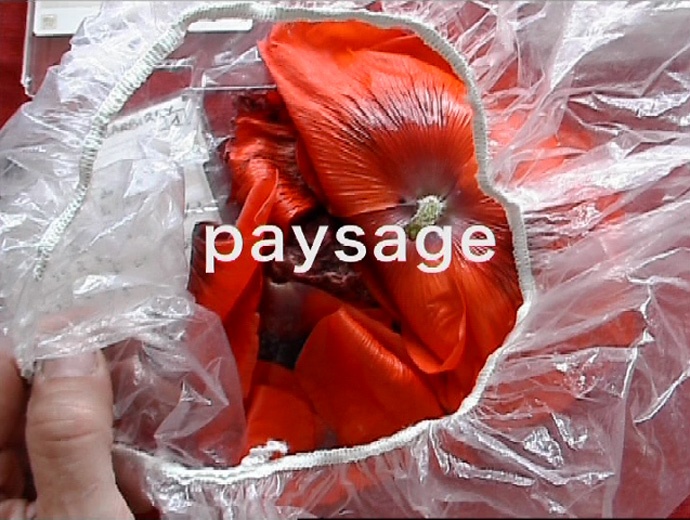 au jardin de Barbirey au jardin de Barbirey