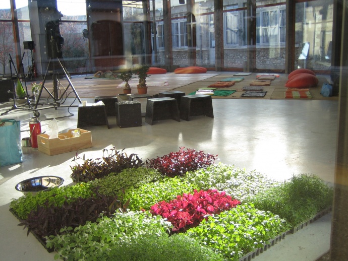 Mushi kiki performances