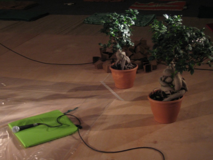 Mushi kiki performances