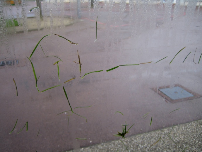 Herbe / classe - chantier