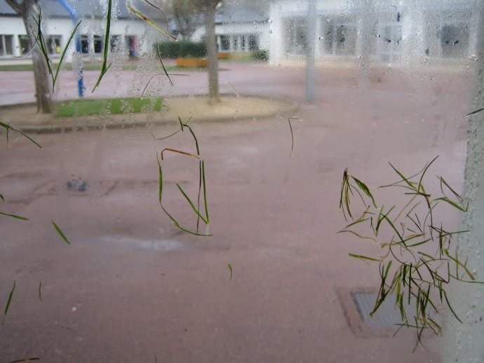 Herbe / classe - chantier