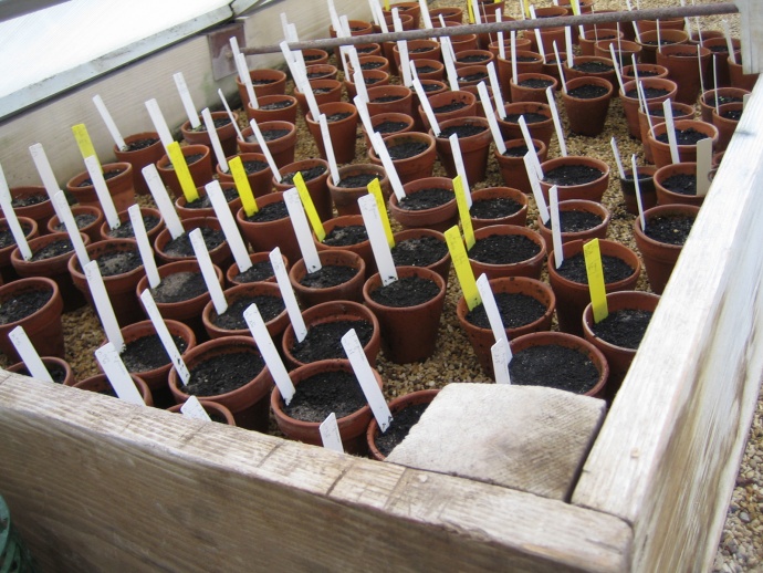 Projet Serres, Frédéric Lormeau