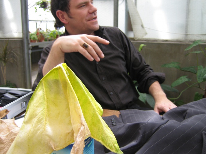 Projet Serres, Frédéric Lormeau