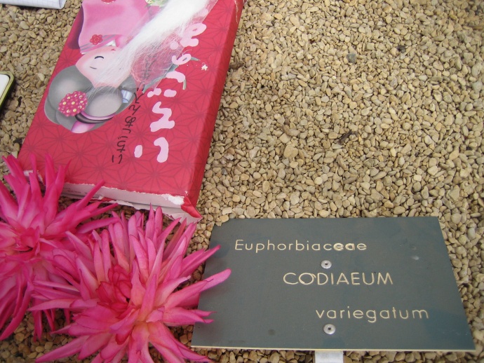 Projet Serres, Frédéric Lormeau