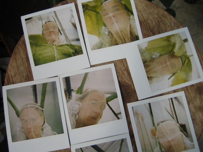 Projet Serres, Frédéric Lormeau