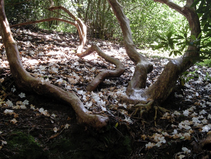 aux Bois des Moutiers aux Bois des Moutiers