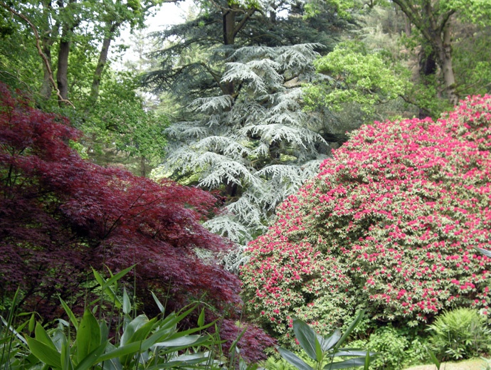 aux Bois des Moutiers aux Bois des Moutiers
