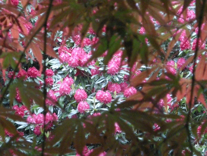 aux Bois des Moutiers aux Bois des Moutiers