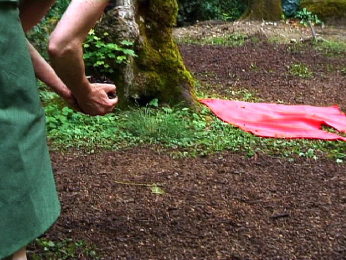en mouvement au jardin d'Hébert en mouvement au jardin d'Hébert