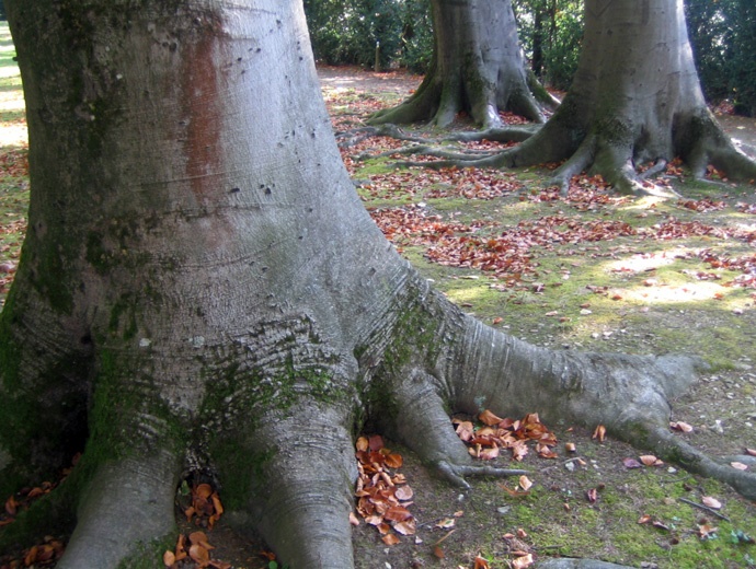 en mouvement au jardin d'Hébert en mouvement au jardin d'Hébert